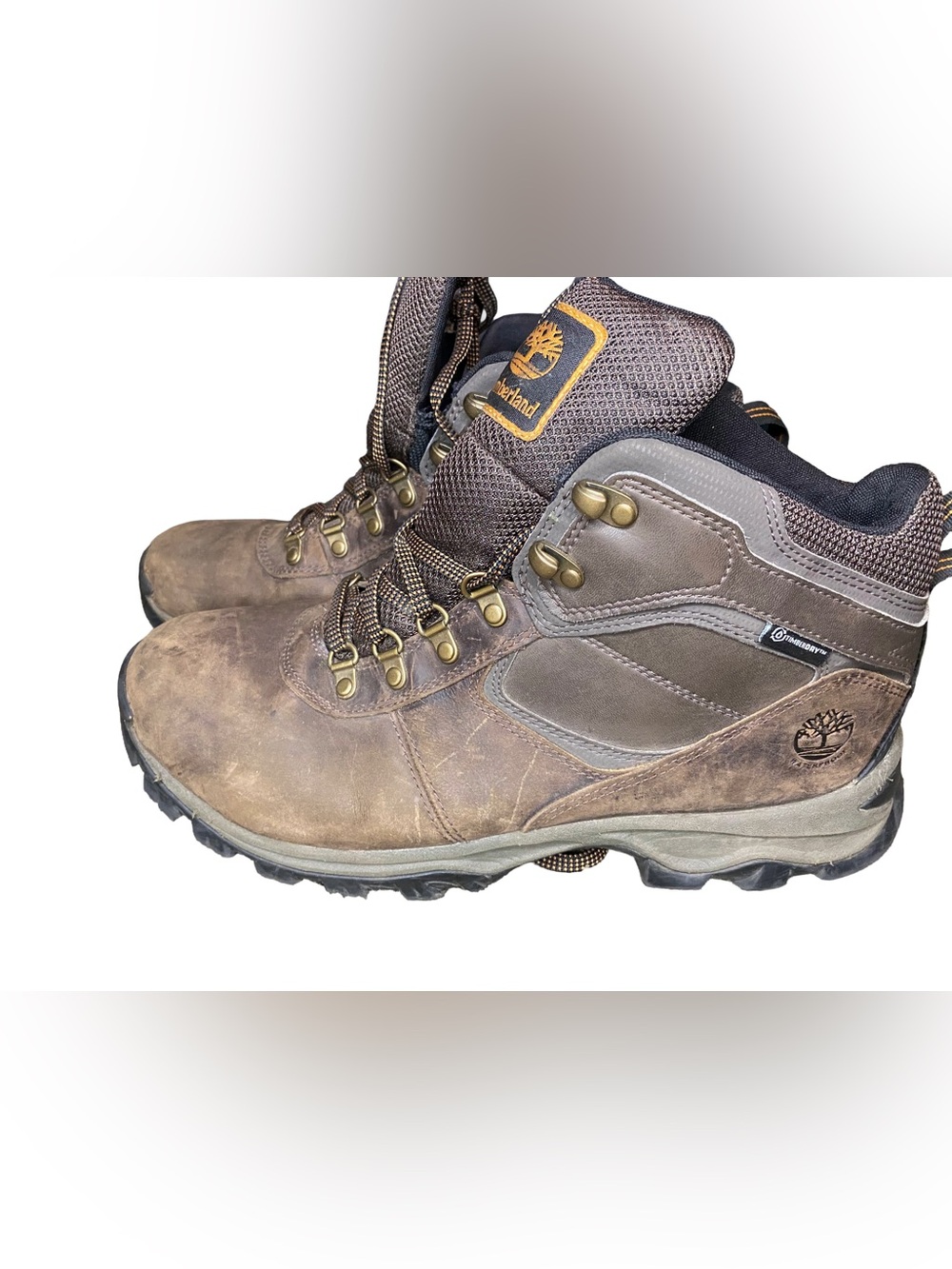Timberland Men's Mt. Maddsen Waterproof Mid Hiking Boot Boots US 12 Brown